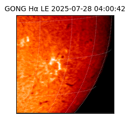 gong - 2025-07-28T04:00:42