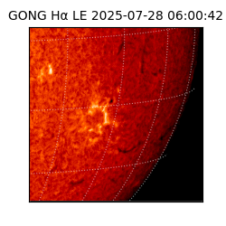 gong - 2025-07-28T06:00:42