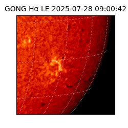 gong - 2025-07-28T09:00:42