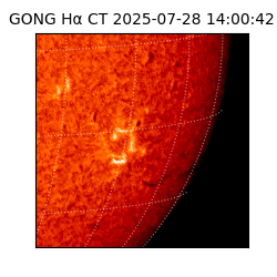 gong - 2025-07-28T14:00:42