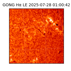 gong - 2025-07-28T01:00:42