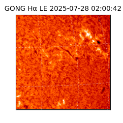 gong - 2025-07-28T02:00:42