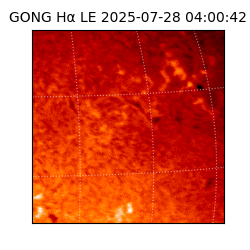 gong - 2025-07-28T04:00:42