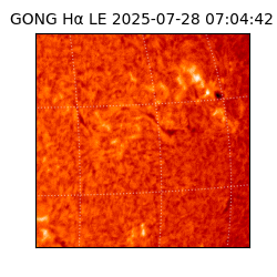 gong - 2025-07-28T07:04:42