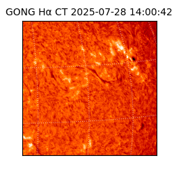 gong - 2025-07-28T14:00:42