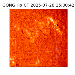 gong - 2025-07-28T15:00:42