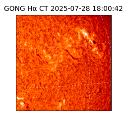 gong - 2025-07-28T18:00:42