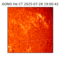 gong - 2025-07-28T19:00:42