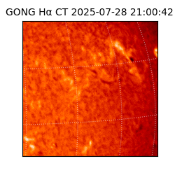 gong - 2025-07-28T21:00:42