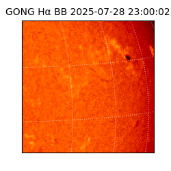 gong - 2025-07-28T23:00:02