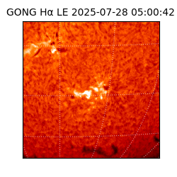 gong - 2025-07-28T05:00:42