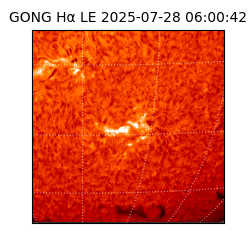 gong - 2025-07-28T06:00:42