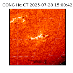 gong - 2025-07-28T15:00:42