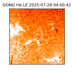 gong - 2025-07-28T04:00:42