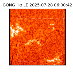gong - 2025-07-28T06:00:42