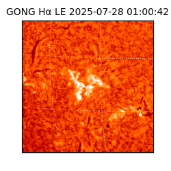 gong - 2025-07-28T01:00:42