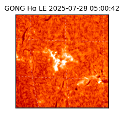 gong - 2025-07-28T05:00:42