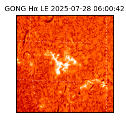 gong - 2025-07-28T06:00:42