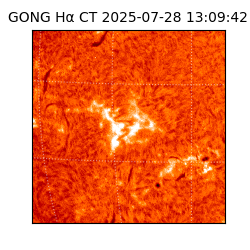 gong - 2025-07-28T13:09:42