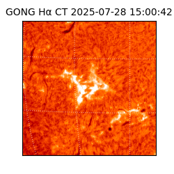gong - 2025-07-28T15:00:42