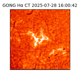 gong - 2025-07-28T16:00:42