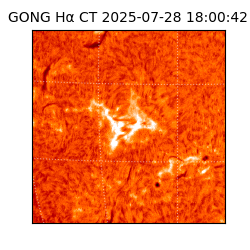 gong - 2025-07-28T18:00:42