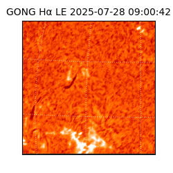 gong - 2025-07-28T09:00:42