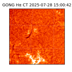 gong - 2025-07-28T15:00:42