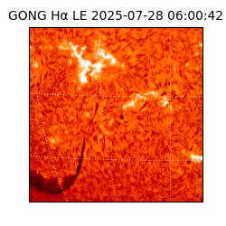 gong - 2025-07-28T06:00:42