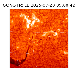 gong - 2025-07-28T09:00:42