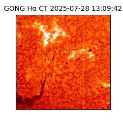 gong - 2025-07-28T13:09:42