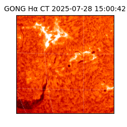 gong - 2025-07-28T15:00:42