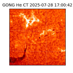 gong - 2025-07-28T17:00:42