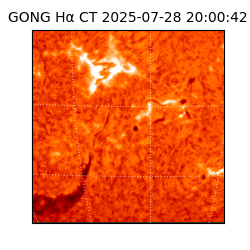 gong - 2025-07-28T20:00:42