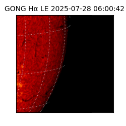 gong - 2025-07-28T06:00:42