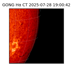 gong - 2025-07-28T19:00:42