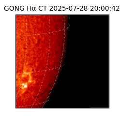 gong - 2025-07-28T20:00:42