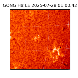 gong - 2025-07-28T01:00:42