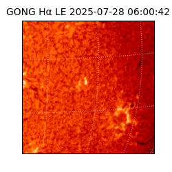 gong - 2025-07-28T06:00:42