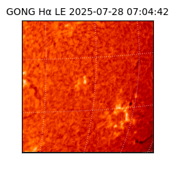gong - 2025-07-28T07:04:42