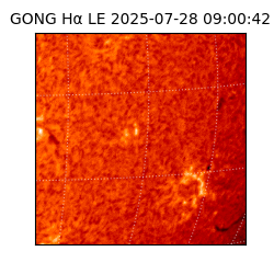 gong - 2025-07-28T09:00:42