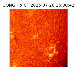 gong - 2025-07-28T16:00:42