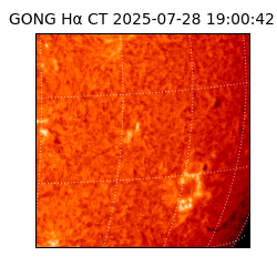 gong - 2025-07-28T19:00:42