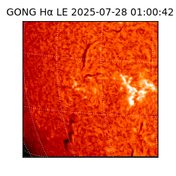 gong - 2025-07-28T01:00:42