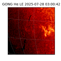 gong - 2025-07-28T03:00:42