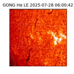 gong - 2025-07-28T06:00:42