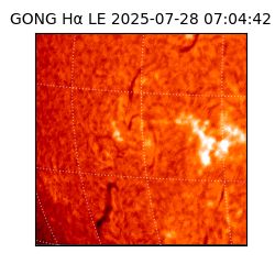 gong - 2025-07-28T07:04:42