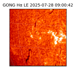 gong - 2025-07-28T09:00:42