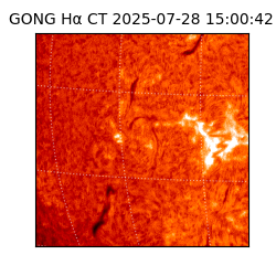 gong - 2025-07-28T15:00:42