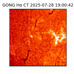 gong - 2025-07-28T19:00:42